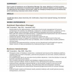 Superlative Operations Manager Resume Samples Professional Security Example Business Template Related
