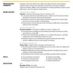 Wizard Example Of Professional Summary On Resume Free Letter Templates Samples Experience Level Resumes