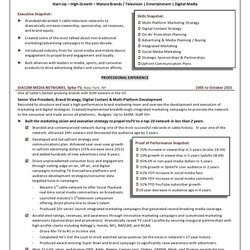 Media Executive Cover Letter For Resume Traditional Advertising Letters