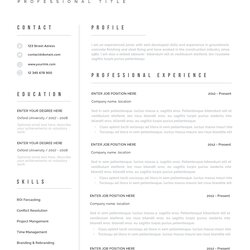 Out Of This World Best Resume Templates Mac Yd