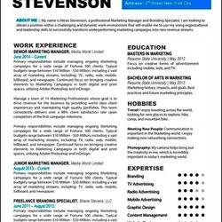 Superb Resume Templates For Mac Pages Free Samples Examples Format