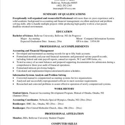High Quality Resume Template Professional Document Experienced