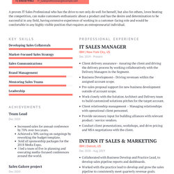 Peerless It Sales Professional Resume Example With Content Sample