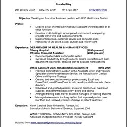 Cool Professional Resume Samples For It Experienced Free Sample Formats Experience Examples Format