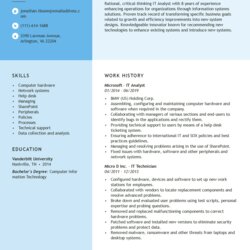 Perfect It Resume Sample Customize Any Of These Free Professional Resumes Analyst