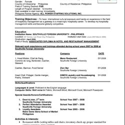 Brilliant Sample Resume Format For Experienced It Professionals Doc Free Professional Experience Examples