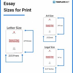 Essay Size Dimension Inches Mm Pixel Sizes For Print