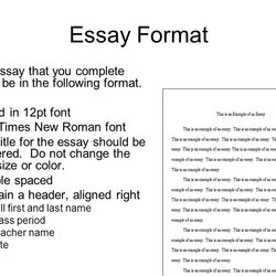 Great What Font Should An Essay In Essays