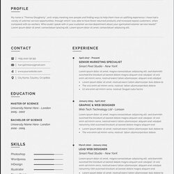 Admirable Professional Resume Template Word Striking Templates High Definition
