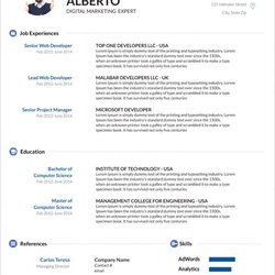 Superior Resume Template Microsoft Word Download Templates Format Ms Latest Modern Simple Document Sample