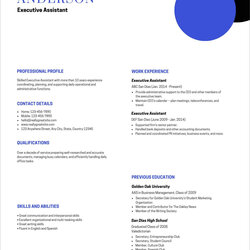 Sterling Resume Templates Free For To Download Word Developer Techie New