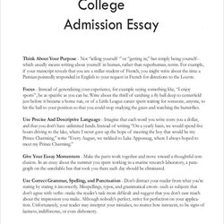 Wonderful College Essay Format Examples Application Sample Admission Writing Template Essays Write Entrance