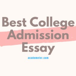 Magnificent How To Write College Admission Essay Sample Best