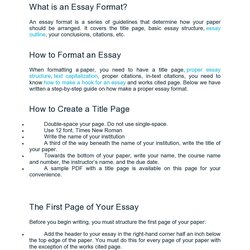 Marvelous College Essay Format Templates Examples