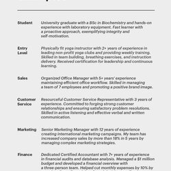 Sublime Resume Summary Examples For How To Guide