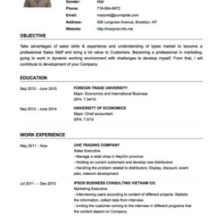 High Quality Sample Of Curriculum Vitae Format Guide With Examples And Indeed Professionals Presenting