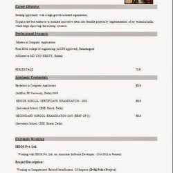 Sublime Best Example Of Resume Format Formats Download