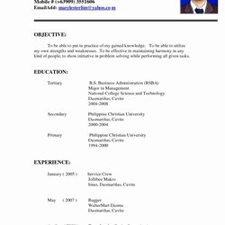 Superior Professional Resume With No Work Experience