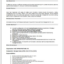 Swell Over And Resume Samples With Free Download Marketing Sample Freshers Format Sales Template Examples