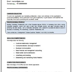 Matchless Over And Resume Samples With Free Download Marketing Sample Doc