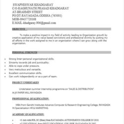 Superb Free Fresher Resume Examples In Ms Word Marketing Templates