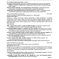 Marvelous Marketing Executive Resume Download For Free Sales Page