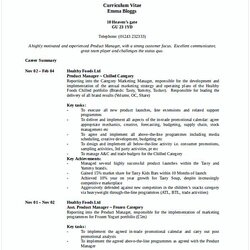 Fine Manager Resume Objective Examples Marketing Product