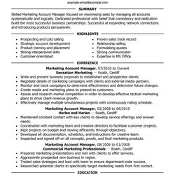 Magnificent Amazing Marketing Resume Examples Templates From Trust Writing Service Manager Account Job Skills