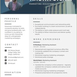 Peerless Objective For Marketing Resume Example Gallery