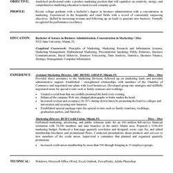 Marketing Director Resume Objective Learn More About Video At Objectives Career Statement Examples Manager