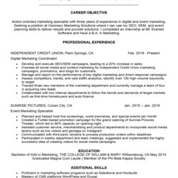 Brilliant Marketing Assistant Resume Sample Tips Examples