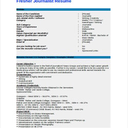 Wizard Journalist Resume Template Free Word Document Download Fresher Templates