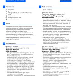 Magnificent Project Manager Journalist Sample Resume Samples Image