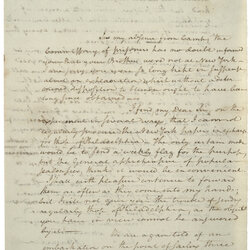 Peerless Alexander Hamilton View Of The American Revolution Essays Gloomy Web