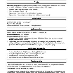 Super High School Resume Templates And Examples Template