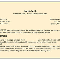 Brilliant Samples Of Objectives On Resume Web