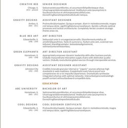 Excellent Free Resume Template Download For Open Office Example Gallery