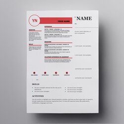 Superb Professional Resume Template Functional Open Office