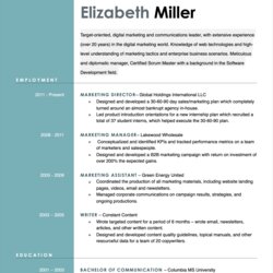 Resume Templates Free Download