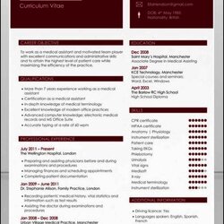 Smashing Open Office Resume Templates Free Samples Examples Format