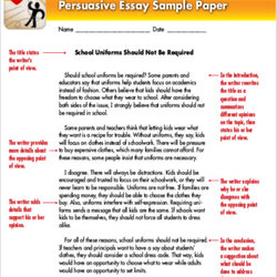Wonderful An Example Of Persuasive Essay Paper