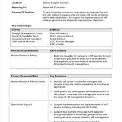 Consultant Job Description Templates Template Human Resource Example Examples Richmond Business