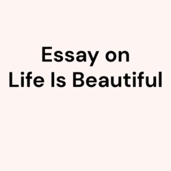 Sublime Essay On Life Is Beautiful
