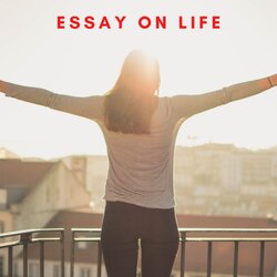Sterling Essay On Life Student Goals Challenges Of Students
