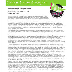 Perfect Free Sample Essay Templates In Ms Word Example College