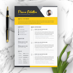 Superb Creative Modern Resume Template Vitae Resumes Pierre Clean Professional And Curriculum Design Ms Word