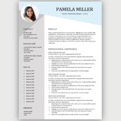 Free Resume Templates For Microsoft Word Download Now Modern Blue
