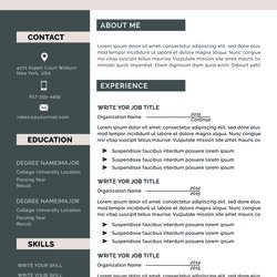 Matchless Resume Template Modern Professional