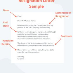 Sublime How To Write Professional Resignation Letter Samples Templates Immediate Width Sample