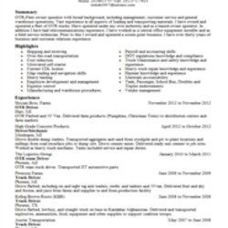 Spiffing Resume Preview Services Professional